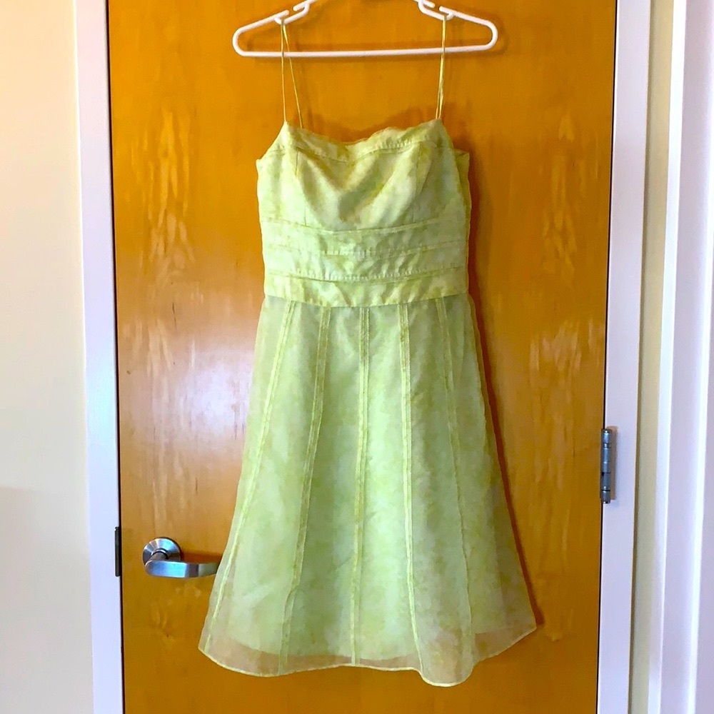 Ann Taylor silk organza light green midi dress